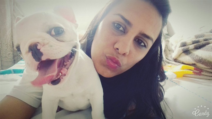 #DOG