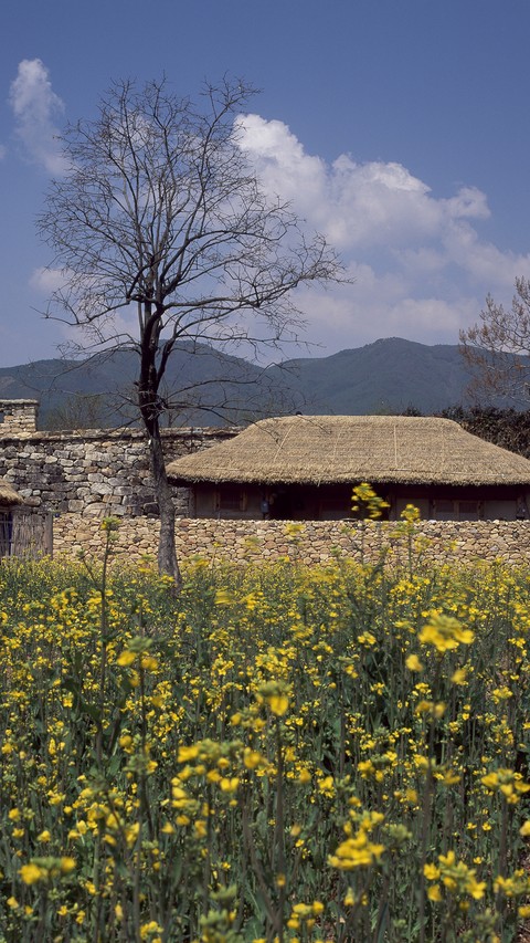 Village