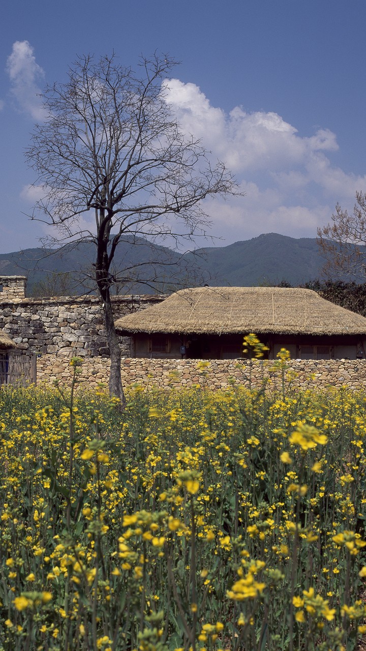 Village