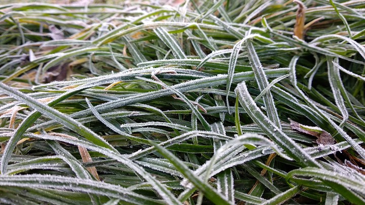 frost