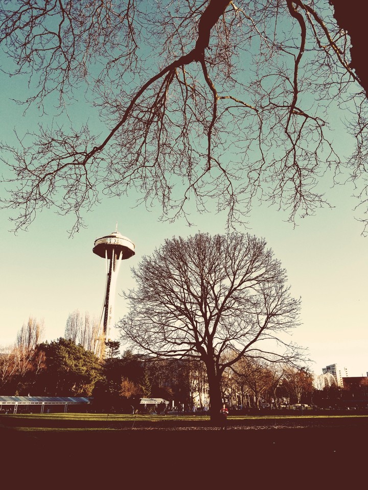 space needle
