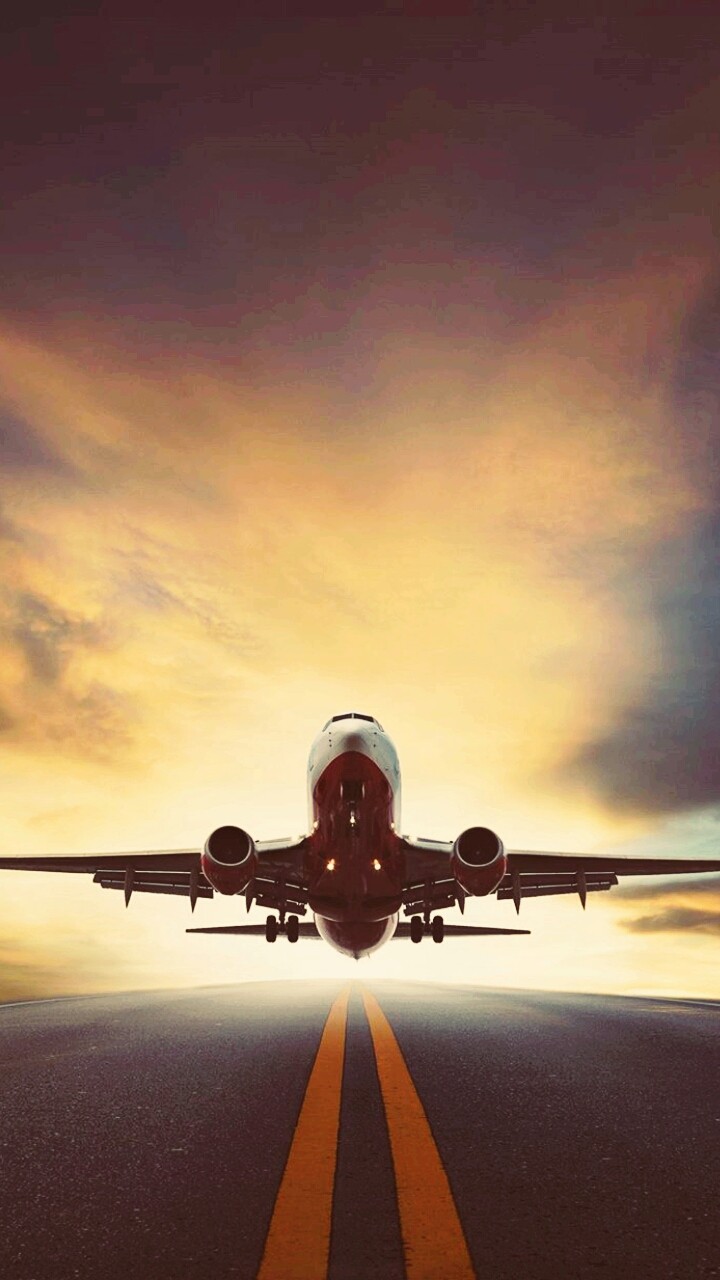 fly high