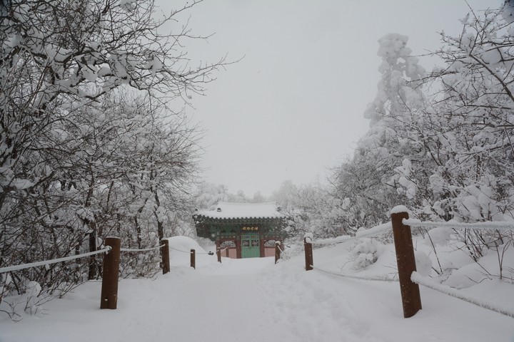 태백산이미지