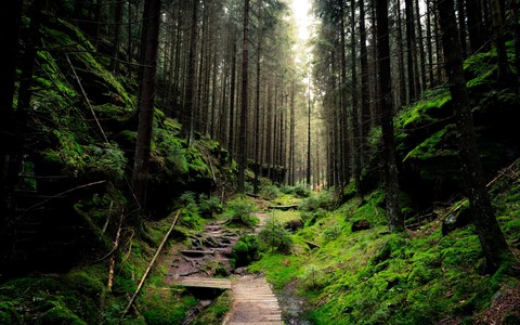National Park