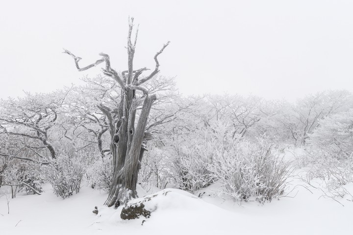 겨울산의 풍경