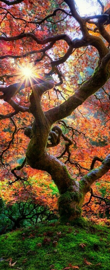 autumn
