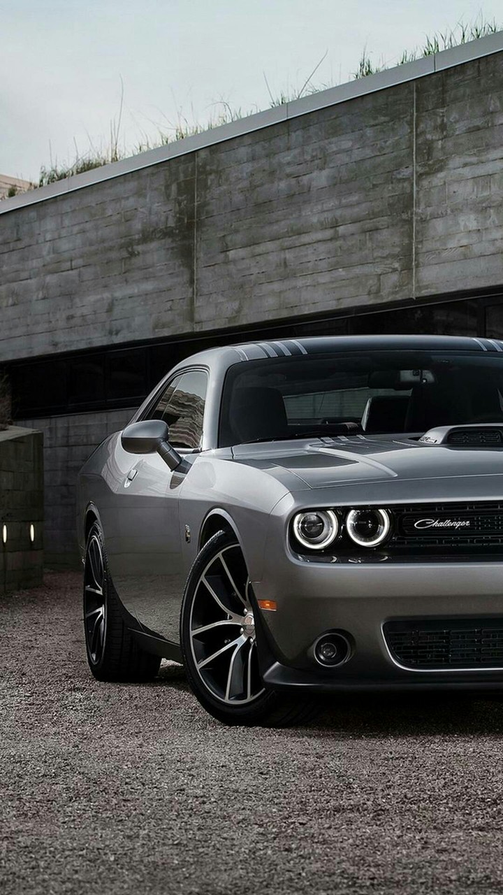 car Dodge