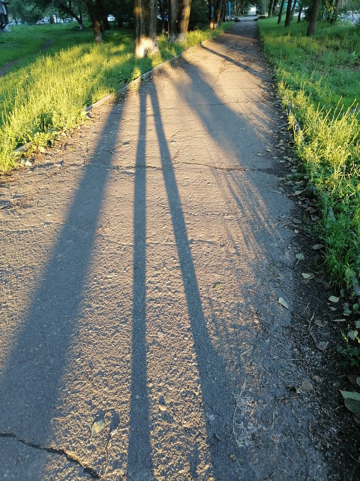 Утро