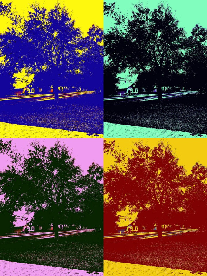 Tree Pop Art
