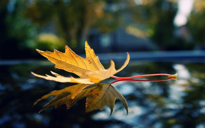 nature