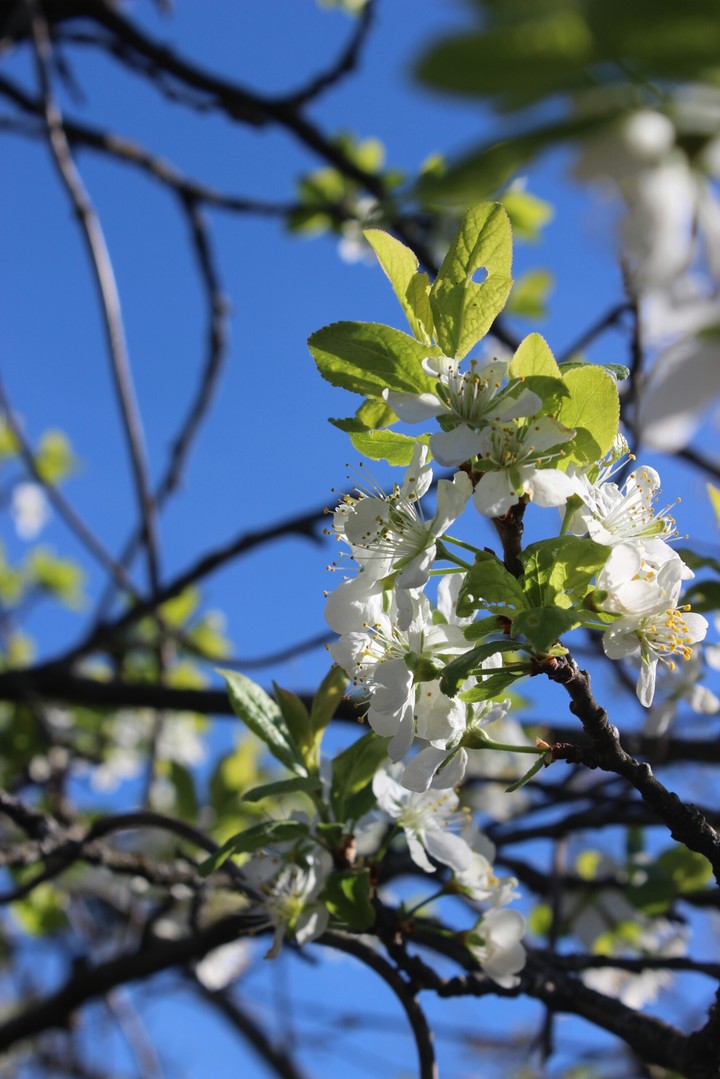 May