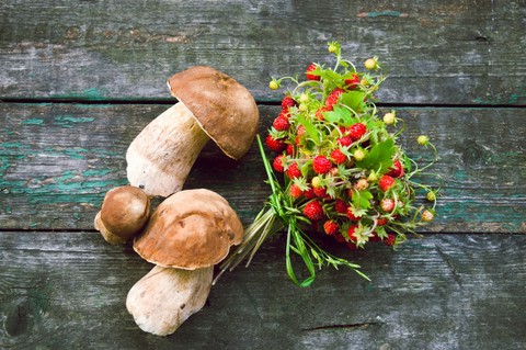 mushrooms