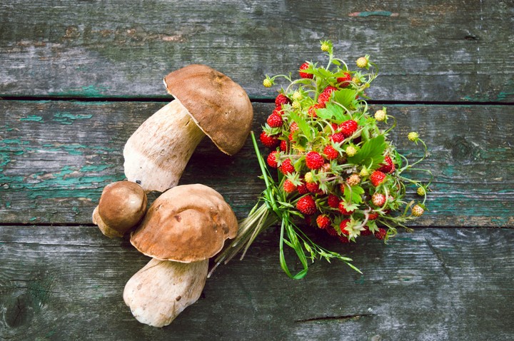 mushrooms