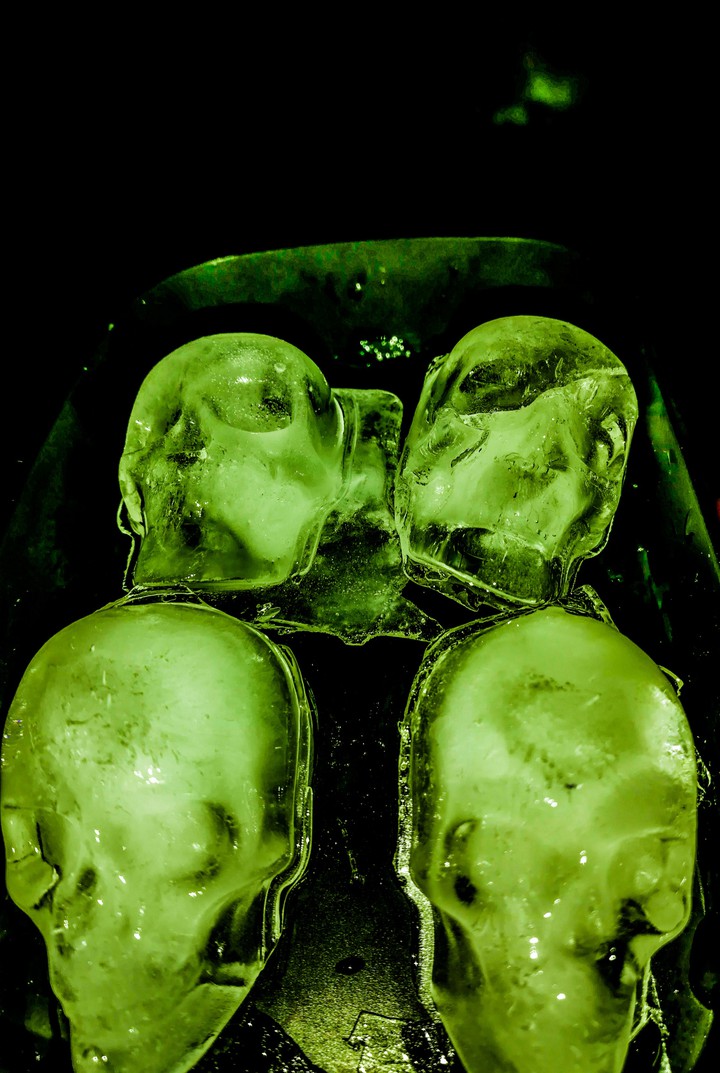 Skull