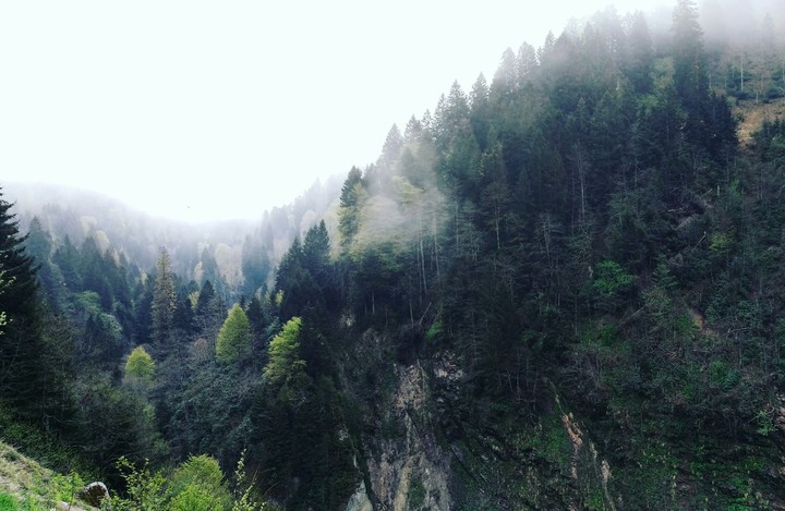 hey gidi Karadeniz