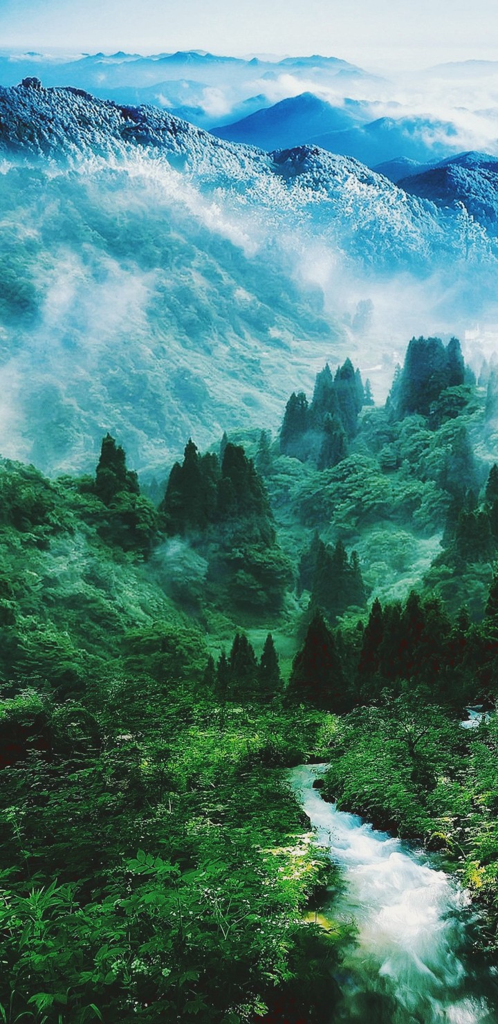 nature