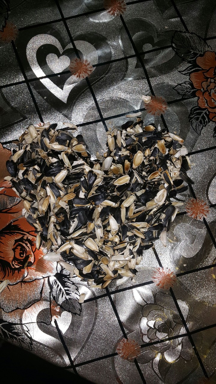 semisqa tum