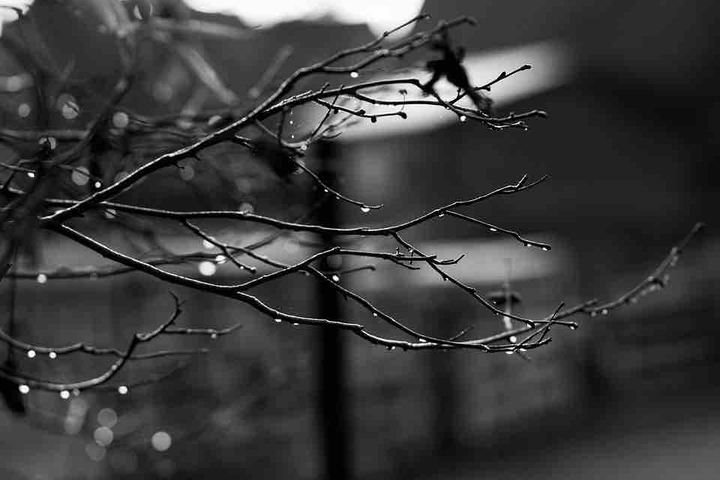 Slow Rain
