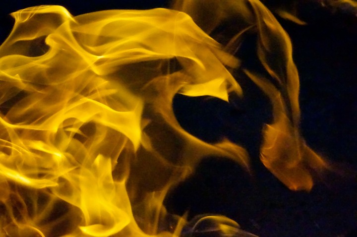 Phoenix in the flames