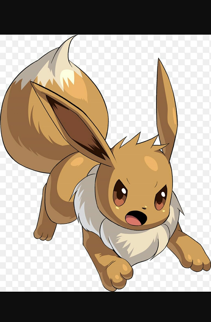 #2/4  Eevee
