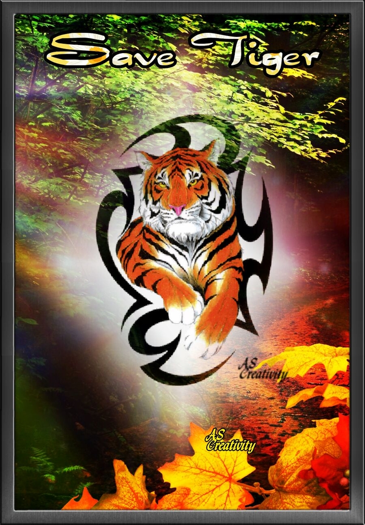 save Tigers