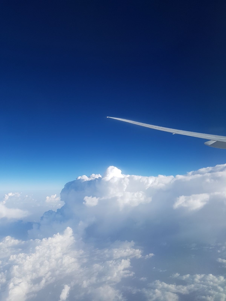 In the Airplane