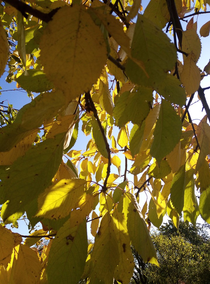 autumn