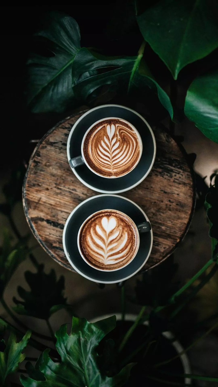 morning wallpaper
