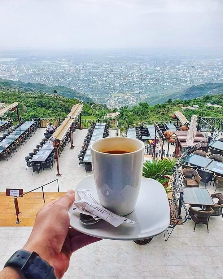 cup of tea