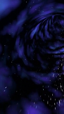 Galaxy black hole