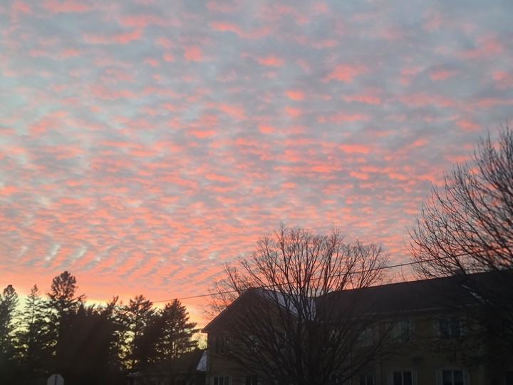Cotton Candy skies