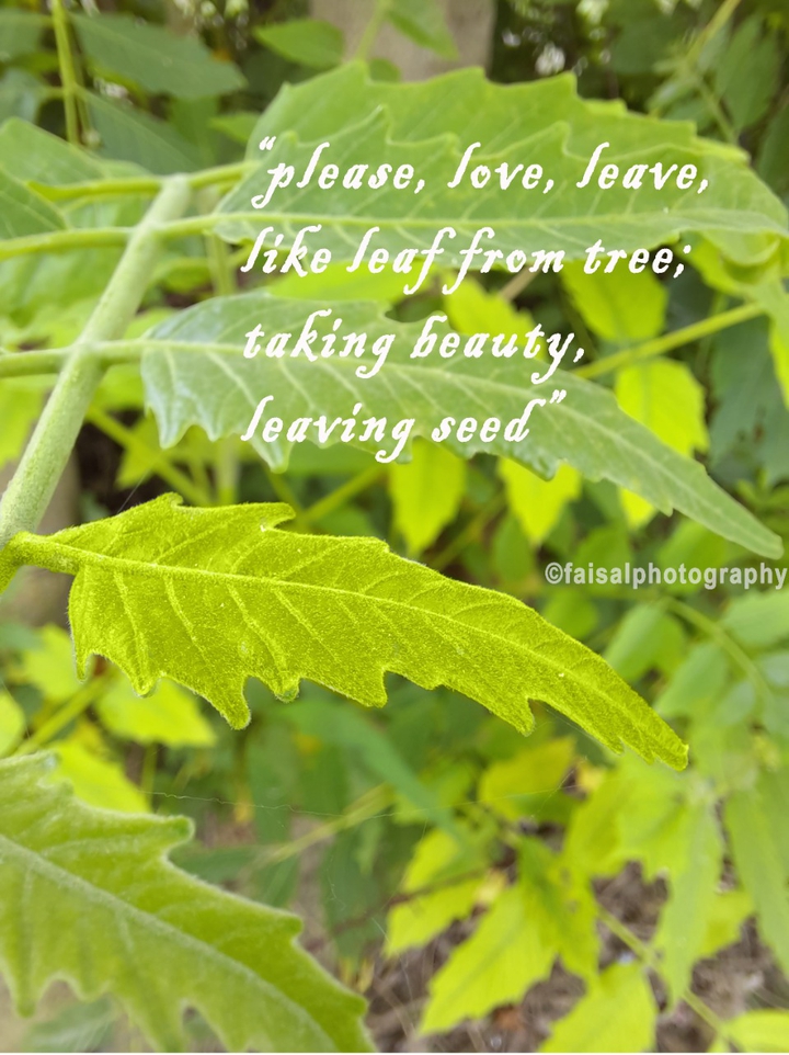 UnbeLEAFable