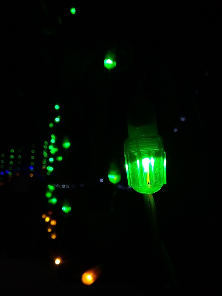 colorful bloom of lights