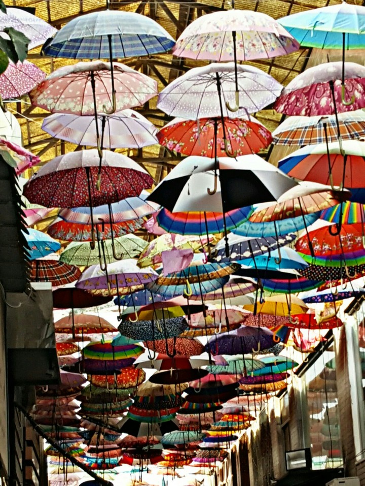 IRAN_SHIRAZ