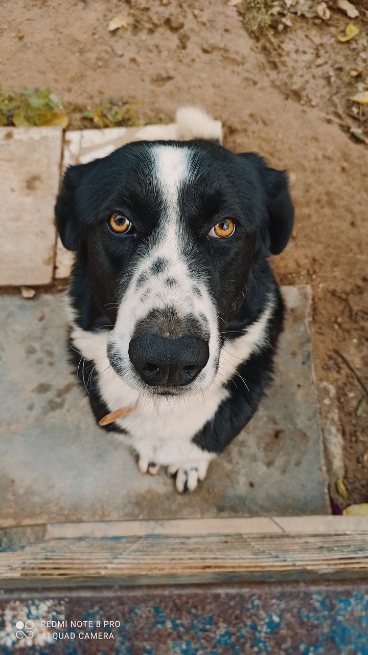 Those Eyes,my love,my Aris