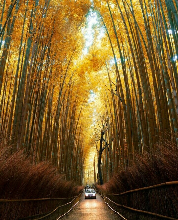 parkway