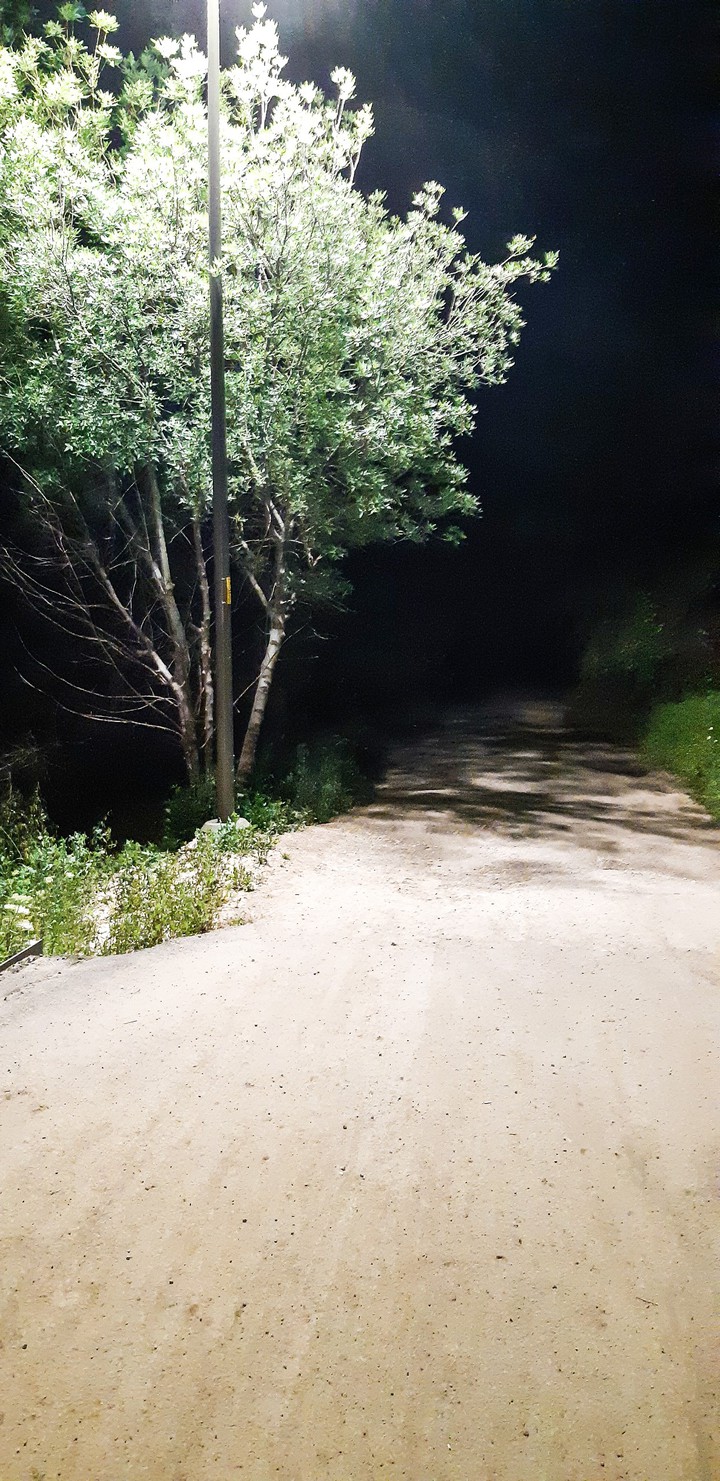 Dark path