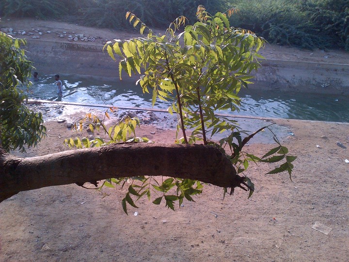 hub dam