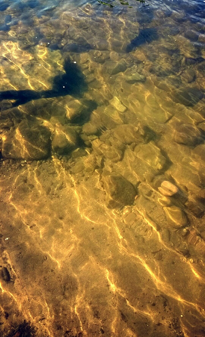 in the water