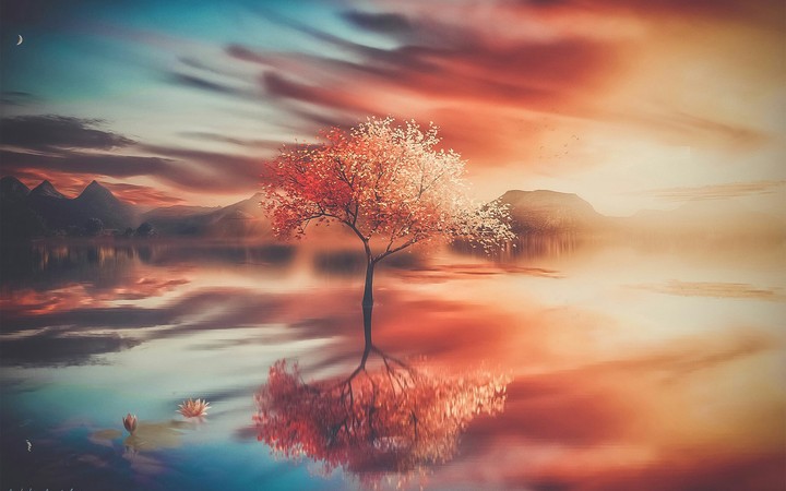 autumn tree