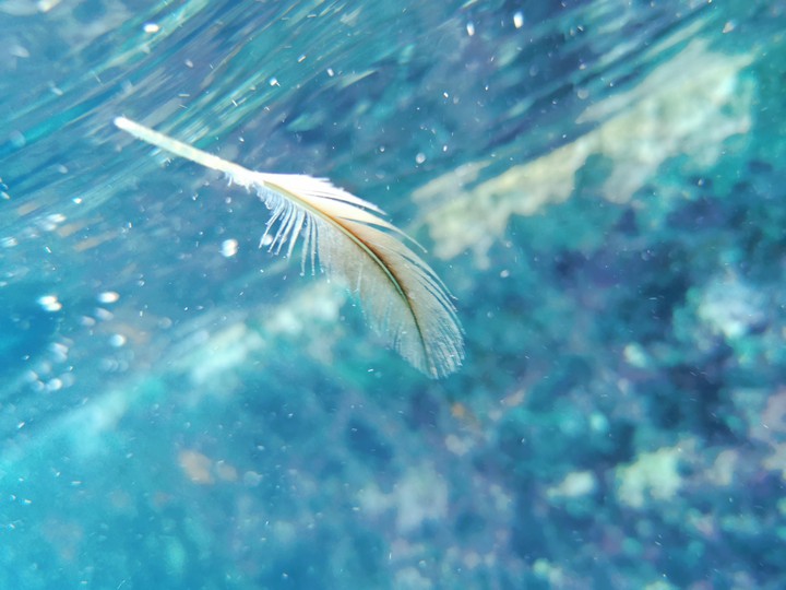 Underwater
