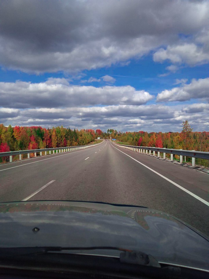 autumn