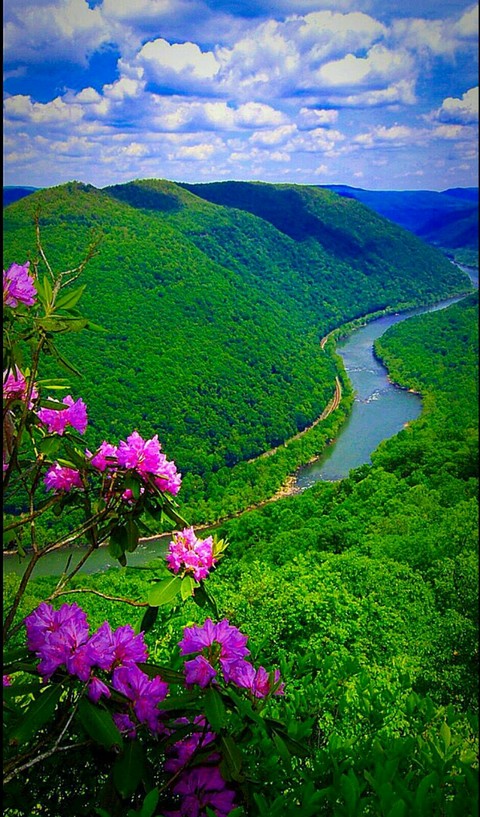 Beautiful Nature vew