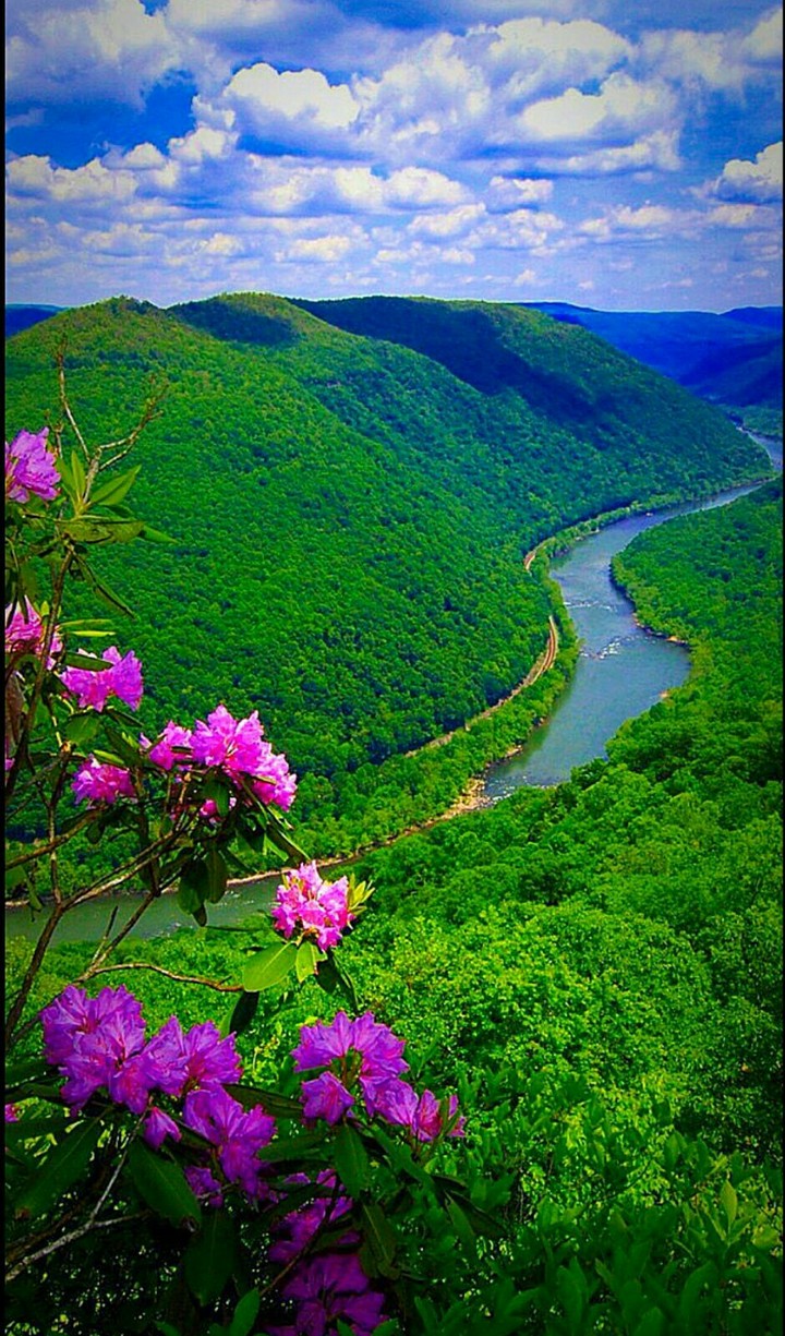 Beautiful Nature vew