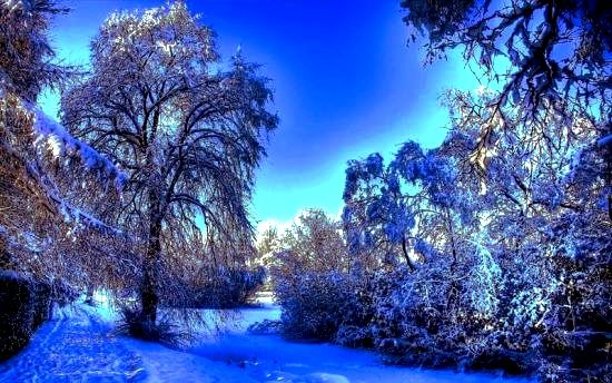 winter