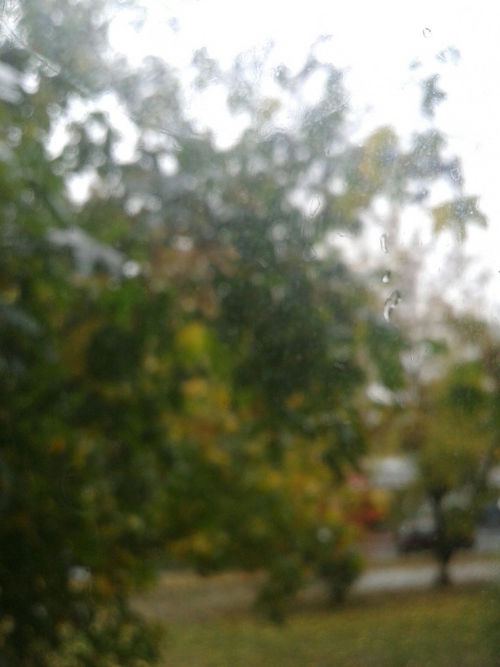 rain