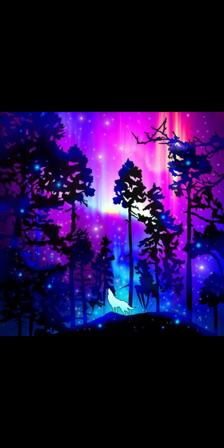 Wolf night