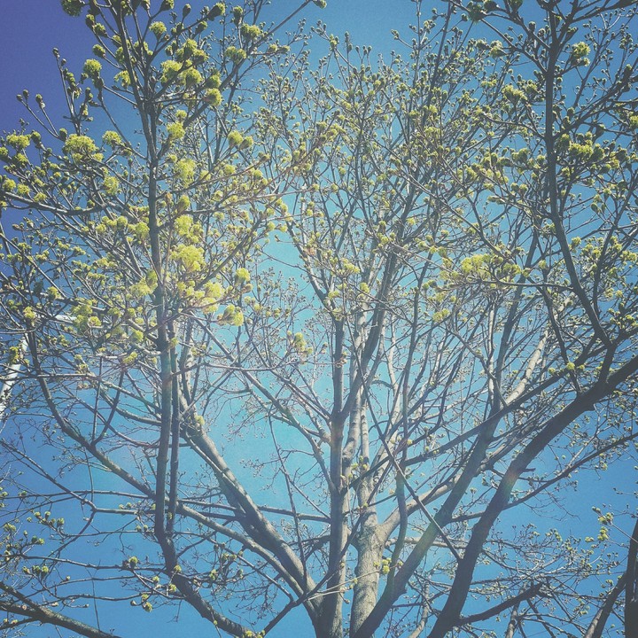 spring!