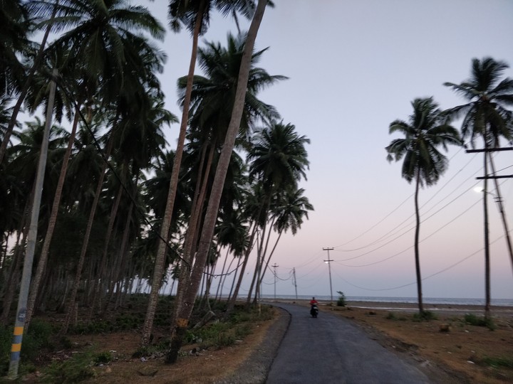 Evening Beauty - India
