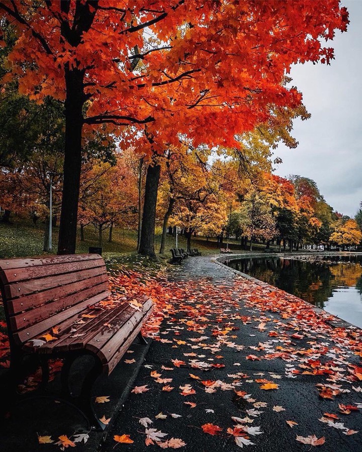 Autumn
